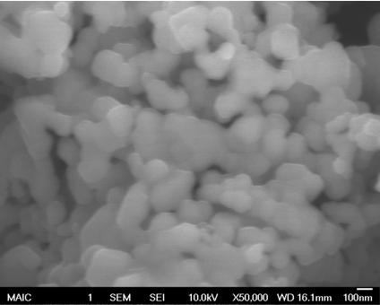 Lanthanum Strontium Manganite SEM Image 3