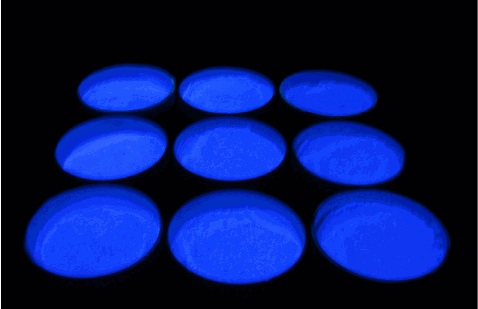 Silver activated zinc sulfide powder viewed under UV illumination