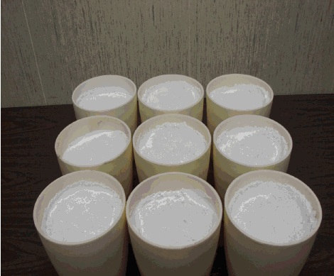 Silver Activated zinc sulfide powder