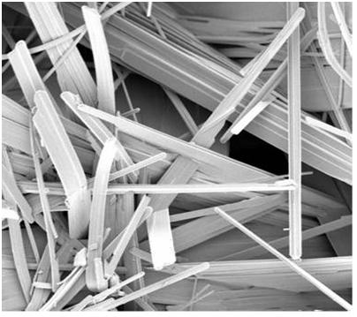 SEM of SVO cystals SEM of Silver Vanadium Oxide cystals