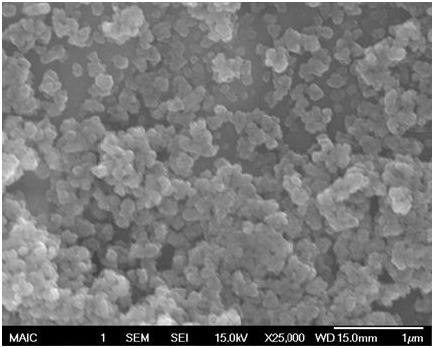 Zinc Sulfide nano-powder under SEM