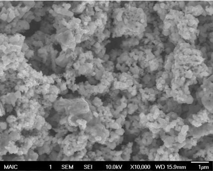 Lanthanum Strontium Manganite under SEM